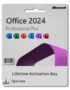 Microsoft Office Professional Plus 2024