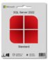 Microsoft SQL Server 2022 Standard